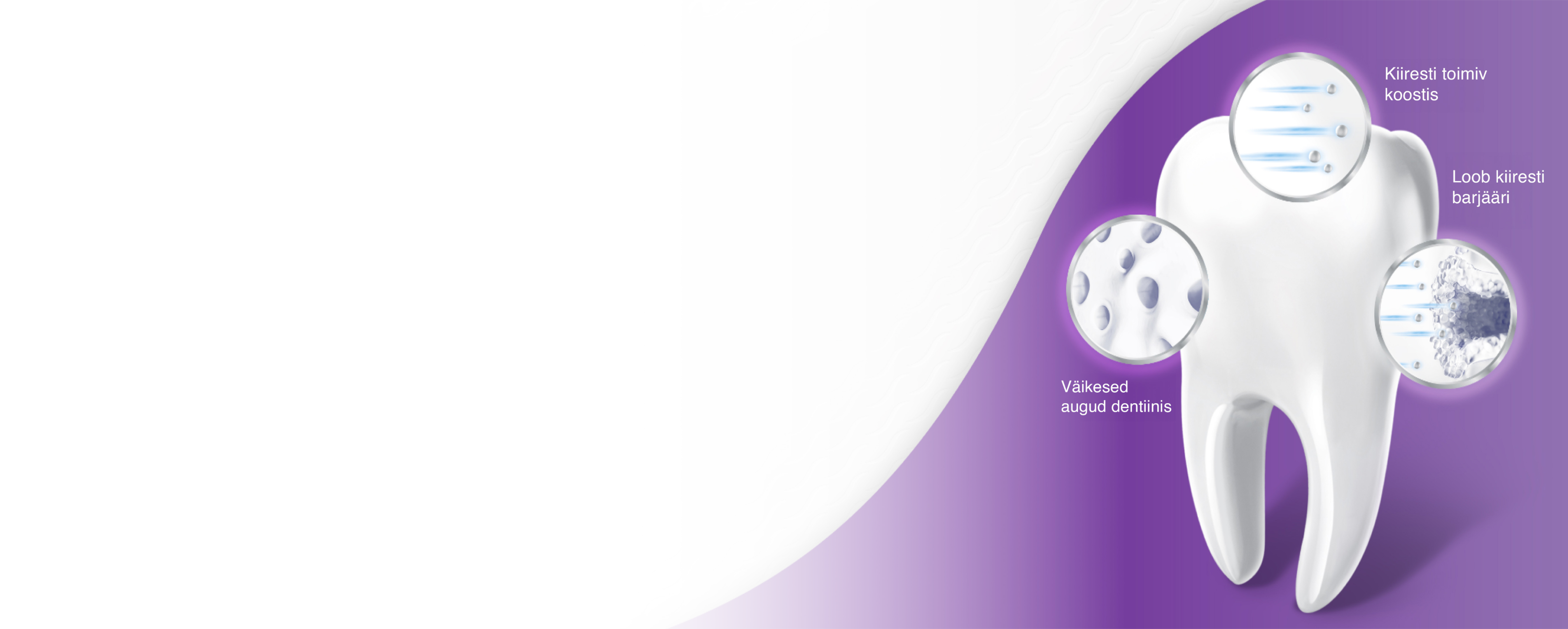 KIIRE LEEVENDUS tundlikele hammastele